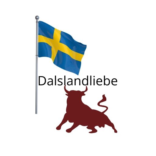 dalsland-liebe.com