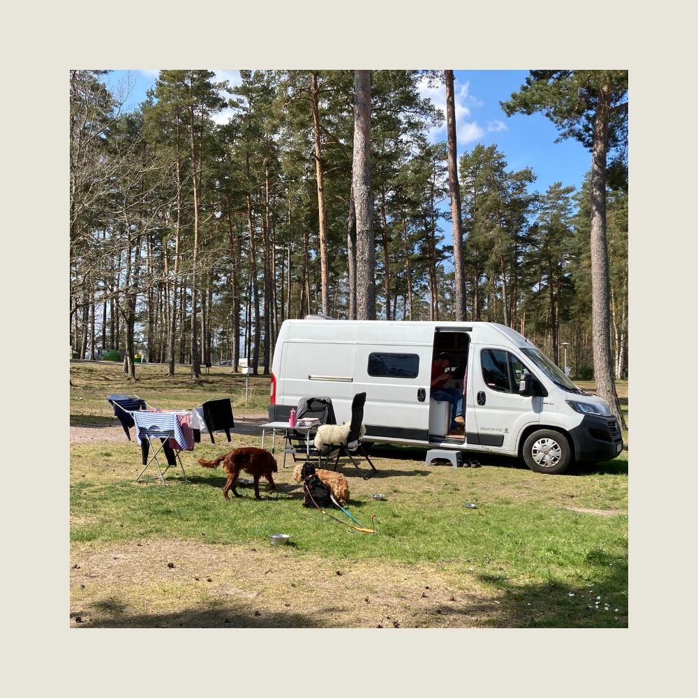Dalslandliebe Kalmar Camping
Foto Sibille Kurdts